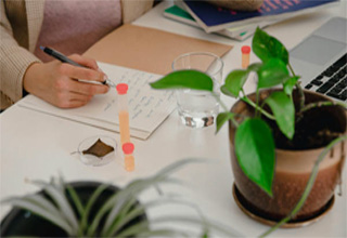 curso de naturopatía