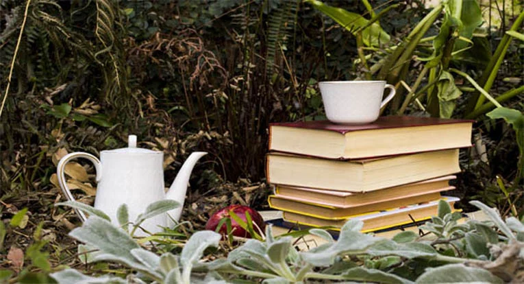 Curso de Técnico en Naturopatía online